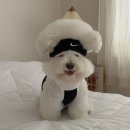 천사곱창 이미지