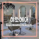 하쏘헤어 네이버블로그
