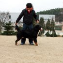 한별