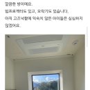야생화마을펜션민박