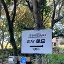 stay 이너프 | [고성 여행 숙소 추천] 푸릇푸릇 촌캉스 느낌의 Stay이너프(enough)