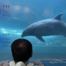 고래 당구장 이미지