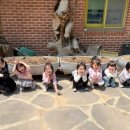 노블키즈유치원 이미지