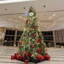 봄바람 노래연습장 | 🏨 소노캄 거제 패밀리 오션뷰 후기 (22~23일 아고다 예약)-내돈내산