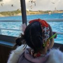 테마투어(목장 체험) 이미지