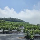 압해공인중개사사무소 이미지