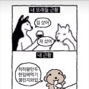 포유헤어샾 | 발산 베일드블랑 촬영드레스 피팅 후기🤍