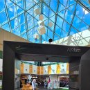 드림산업안전 | 63000원 가성비골프장 인천 드림파크CC라운딩후기- 코스, 예약방법