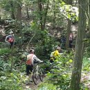 송백자전거도로 이미지