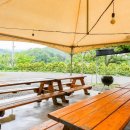 용인별바라기 이미지