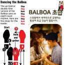 홀릭바 Daum카페