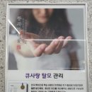 큐사랑대구중동점