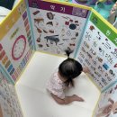 5월-2(49주~51주 육아기록,허니버디 베이비카페,파주 필무드,잔스포츠 라이트팩 미니,옴모 아기 크레용...
