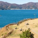 도장포어촌체험마을낚시터 이미지