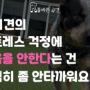 올바른 참견 이미지