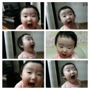 쮸니PC 이미지