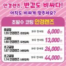 으뜸플러스안경 춘천명동점 이미지