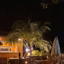 애월 하루 이미지