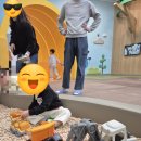 회관농장 | 대전 어린이회관 체험숲 두돌아기랑 다녀온 후기