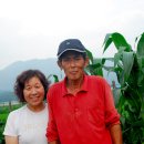 배미농장 이미지