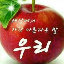 3월의 여망(餘望) 이미지