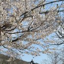 계곡식당 이미지