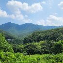 대야산 오토 캠핑장 이미지