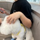 무더위에서 살아남기