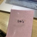 다시내보 이미지