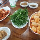돈대박 돼지국밥24