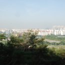 차도 태양광발전소 네이버블로그