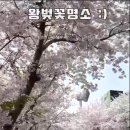 제주시 가볼만한곳 7곳 빠르게 영상으로 콕콕 찝어보기 이미지