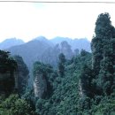 장가계 - 수원시 팔달구 매산로 2-3 | 장가계