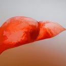 고유가정의학과의원 이미지