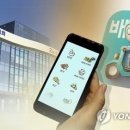 배민야채