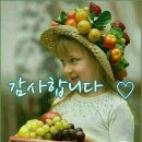 신선식 이미지
