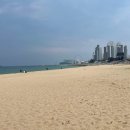 두메(DUME) 이미지