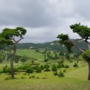 프로헬스크럽 이미지