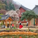 백양사 주차장 화장실 이미지