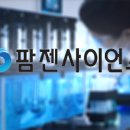 히스토리
