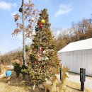 YouTube거성공인중개사사무소 | 태학산자연휴양림 오토캠핑장 가족바비큐 방문후기