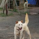 무지개훈련소 이미지