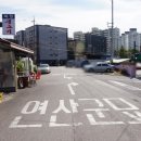 방학동 은행나무 이미지