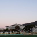 진도초등학교 이미지