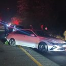 망오름 인근 이미지