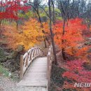 판교일산방향 장수 이미지