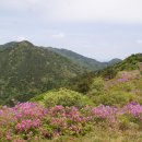 남해-128 이미지