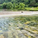 포레스트캐빈앤캠프 이미지