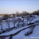 광성식당 이미지