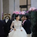 [W15] 대구 수성호텔 블레스홀 본식후기/소유드블랑/로브드블랑/소르베/르랑필름/웨딩한복사랑